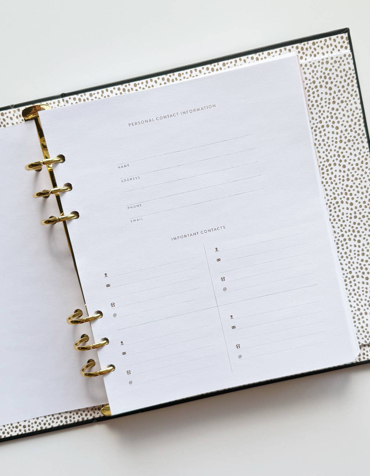 Wavy Daisy Perpetual Planner, nicht datiert | Idlewild Co. - toietmoi-laboutique