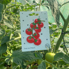 Aufbügelpatch, Kirschtomaten | Petra Boase Ltd (US Duties Paid) - toietmoi-laboutique