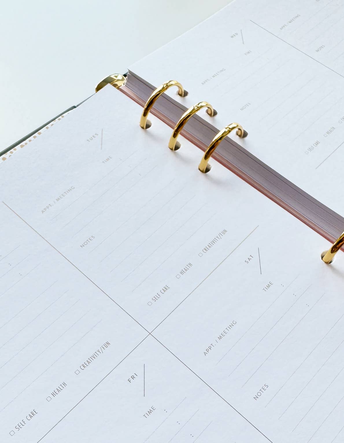 Wavy Daisy Perpetual Planner, nicht datiert | Idlewild Co. - toietmoi-laboutique