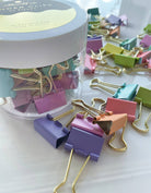 Clips, regenbogenfarben | Idlewild Co. - toietmoi-laboutique