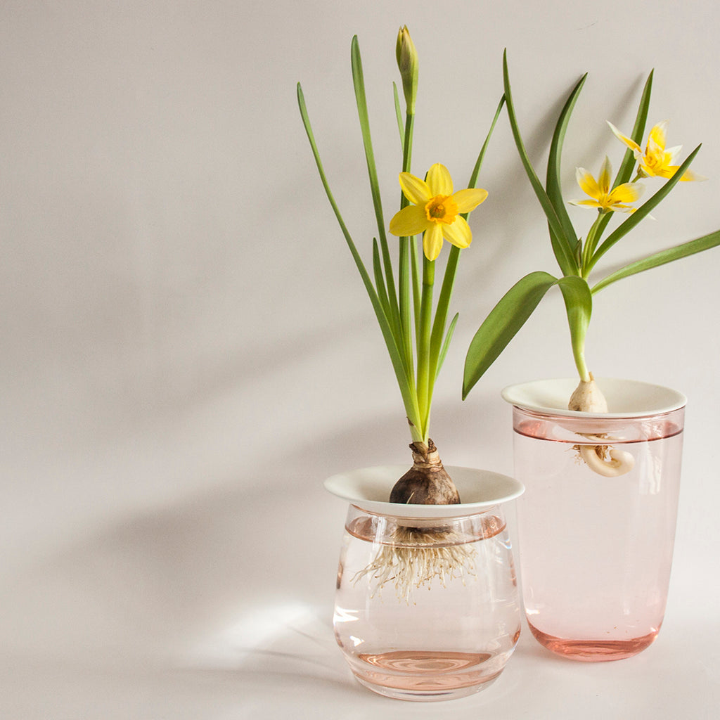 Keimschale aus Porzellan, Grösse S | Botanopia - toietmoi-laboutique