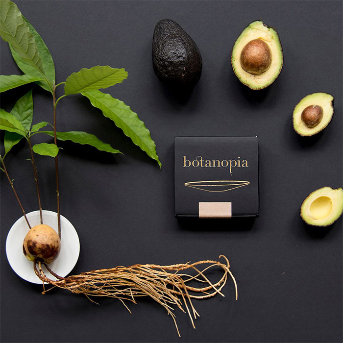 Keimschale aus Porzellan, Grösse S | Botanopia - toietmoi-laboutique